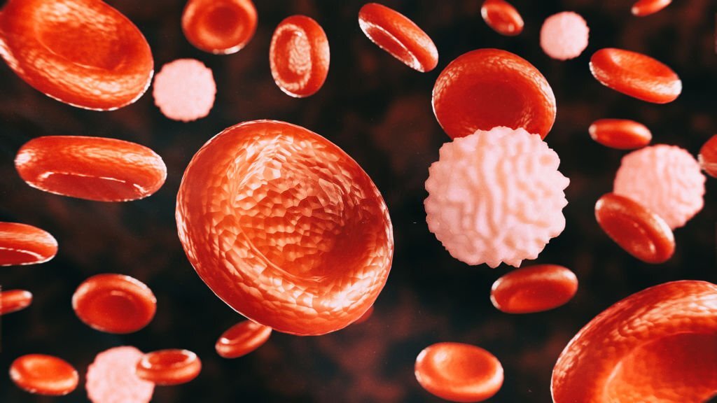 Red blood cells and white blood cells on a dark background - 3d rendering of red blood cells and white blood cells in the artery, medical concept, human health. 3d rendering of leukocyte.