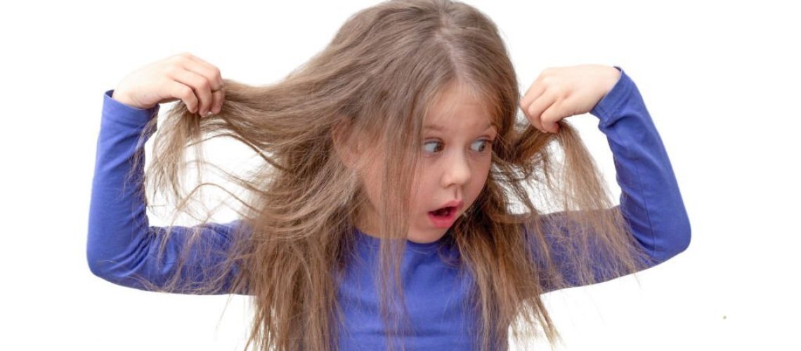 Isolated caucasian little girl of 5 6 years holding hair being in shock about hair losing or having lice on white background